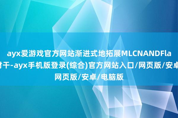 ayx爱游戏官方网站渐进式地拓展MLCNANDFlash缱绻材干-ayx手机版登录(综合)官方网站入口/网页版/安卓/电脑版