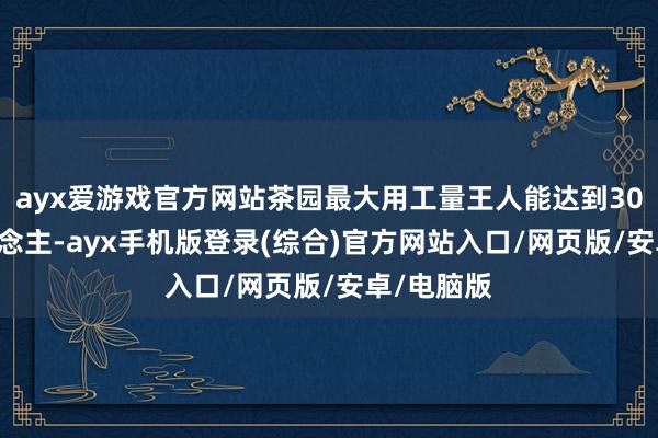 ayx爱游戏官方网站茶园最大用工量王人能达到3000余东说念主-ayx手机版登录(综合)官方网站入口/网页版/安卓/电脑版