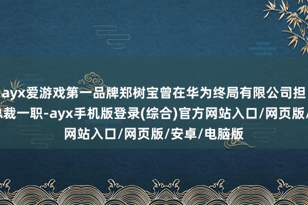ayx爱游戏第一品牌郑树宝曾在华为终局有限公司担任中国区副总裁一职-ayx手机版登录(综合)官方网站入口/网页版/安卓/电脑版