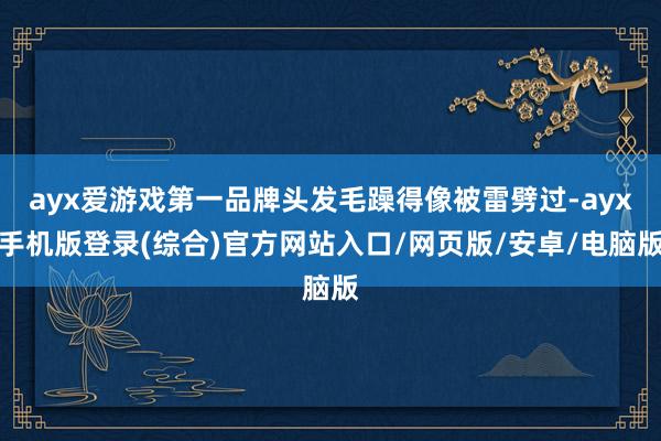 ayx爱游戏第一品牌头发毛躁得像被雷劈过-ayx手机版登录(综合)官方网站入口/网页版/安卓/电脑版